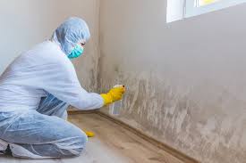 Best Real Estate Mold Inspection  in Richfield, WI